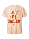 Life of a Cheerleader